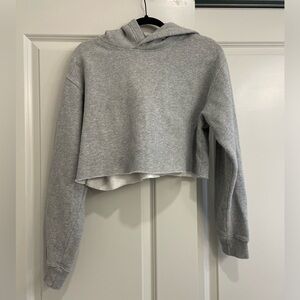 Aritzia TNA Light Grey Fleece Cropped Hoodie